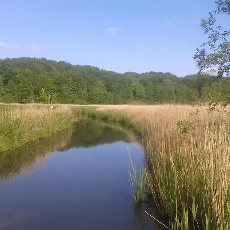 Ostsee Reetkate Apartment *