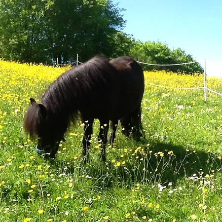 Apartmán Ostsee Reetkate