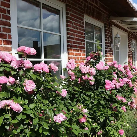 Ostsee Reetkate Apartmán Langballig