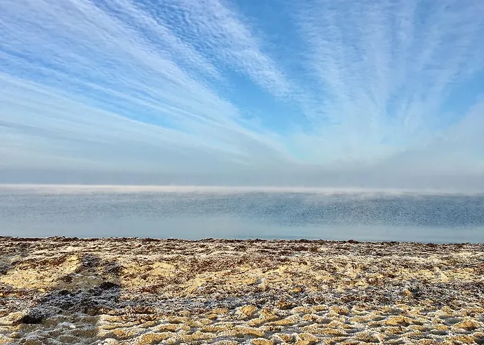 Ostsee Reetkate